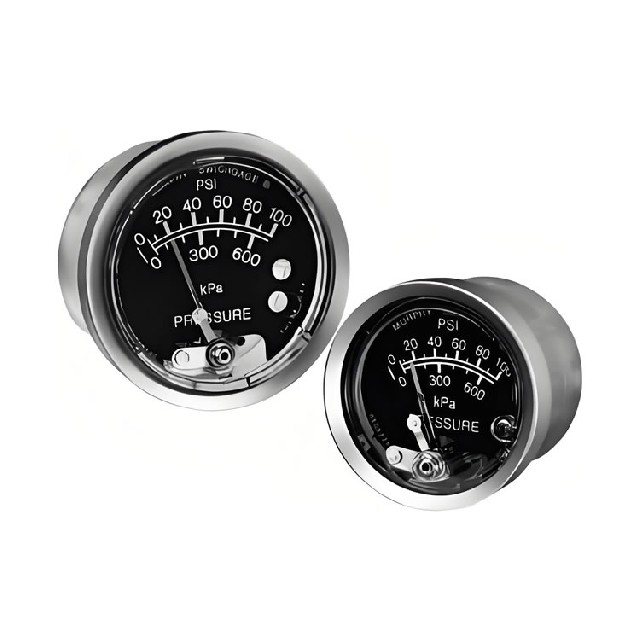 美國murphy 壓力表 20