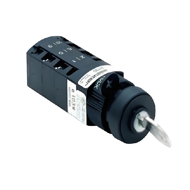 Salzer 旋轉凸輪開關 P110-61039-R001A